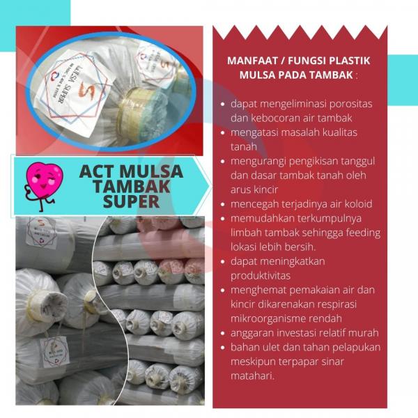 ACT Mulsa Tambak Super